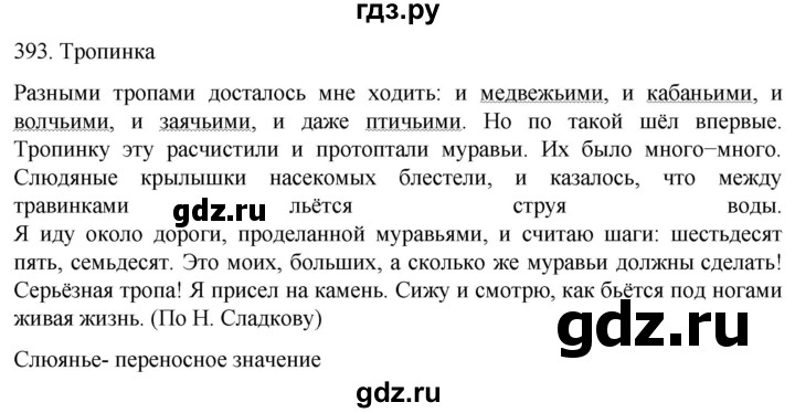ГДЗ по русскому языку 6 класс  Ладыженская   упражнение - 393, Решебник №1 к учебнику 2022