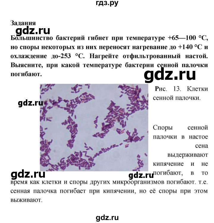 ГДЗ по биологии 5 класс  Пасечник Бактерии, грибы, растения  §11. Строение и жизнедеятельность бактерий / Задания - 1, Решебник №1